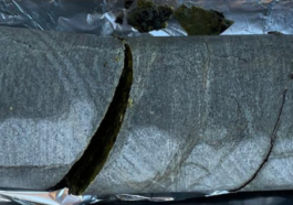 2-Billion-Year-Old Microbes: Survival Secrets Revealed