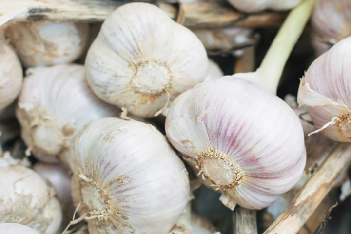 Woman with Porphyria Claims Connection to Dracula's Legend