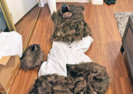 Bear costume insurance scam shocks Los Angeles residents