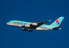Korean Air Flyer Restrained After Mid-Flight Emergency Door Attempt