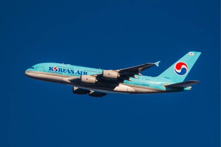 Korean Air Flyer Restrained After Mid-Flight Emergency Door Attempt