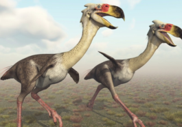 Giant Terror Birds Predated Dinosaurs With Lethal Speed