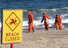 Sydney's Beach Mystery: Not Tar Balls, But Decomposed Waste