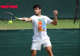 Wimbledon 2025 Alcaraz Sinner Djokovic Preview