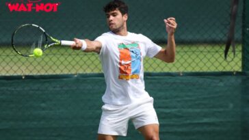 Wimbledon 2025 Alcaraz Sinner Djokovic Preview