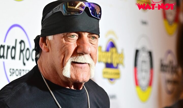 Hulk Hogan’s Final Conversation With Daughter Brooke Revealed