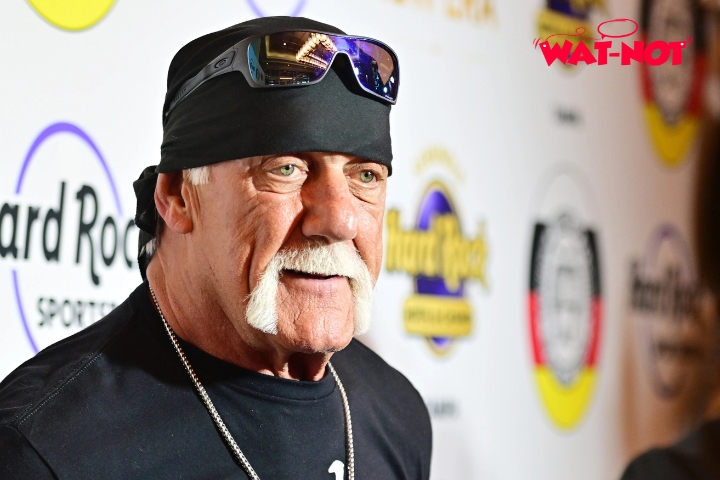 Hulk Hogan’s Final Conversation With Daughter Brooke Revealed