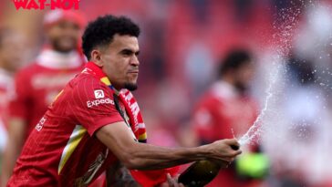 Luis Diaz joins Bayern Munich in £65.5m transfer